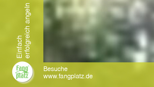 Benefizangeln 2005: Hier kam das Geld an