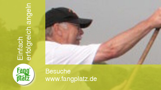 "Klug" gefeedert (2)