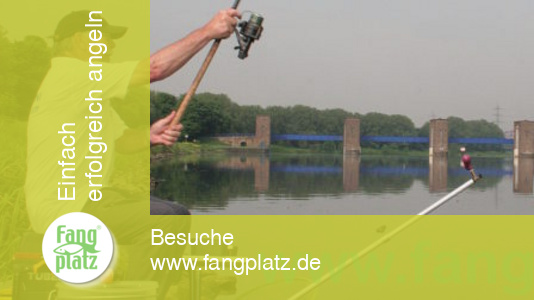 "Klug" gefeedert (2)