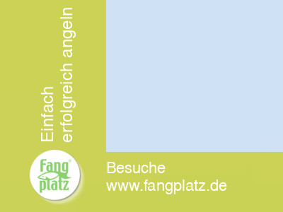 Angelbücher die einen weiterbringen Angelbücher die einen weiterbringen