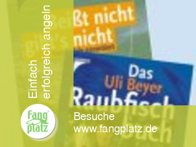 Angelb&uuml;cher die einen weiterbringen