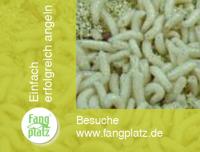 Wunder-Futterzusatz tote Maden