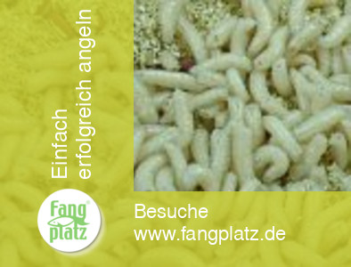 Wunder-Futterzusatz tote Maden