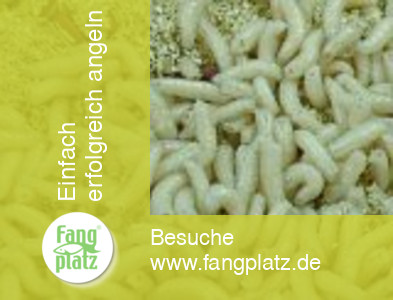 Wunder-Futterzusatz tote Maden