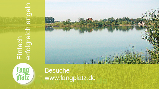 Kunstk&ouml;der, Teil 1: Erkundungs-Tipps