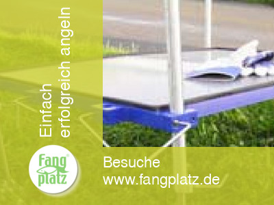 Eine Plattform bringt Farbe ins Spiel!