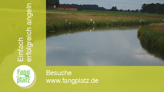 Aue Cup 2008: Alles anders...