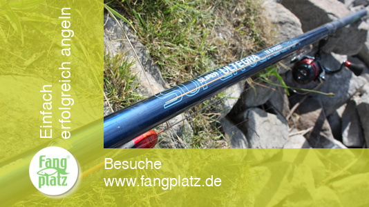 Bolo: Super Ultegra u. Stradic CI4