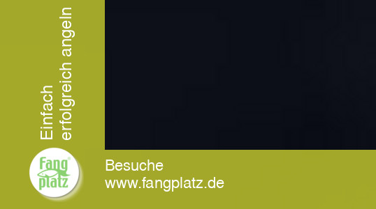 Neu! Der Smartcast RF 15e