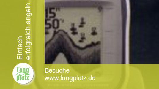 Neu! Der Smartcast RF 15e