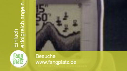 Neu! Der Smartcast RF 15e Neu! Der Smartcast RF 15e