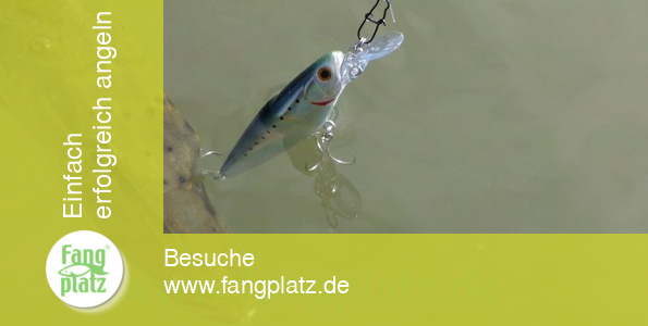 Praxis Test Sinking Range Minnow II