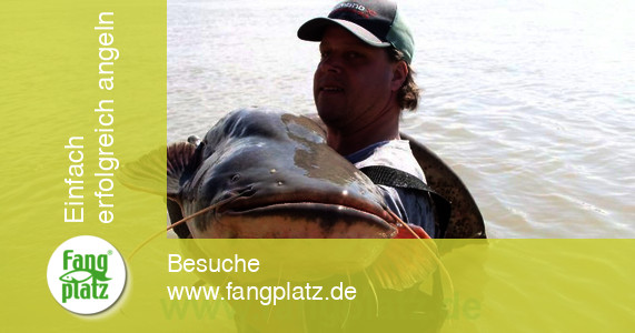 Wallerangeln - Po - Italien &ndash; Erlebnisbericht (1/ 2) | Fangplatz.de