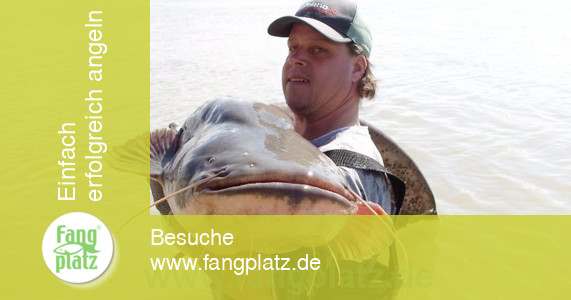 Wallerangeln - Po - Italien – Erlebnisbericht (1/ 2) | Fangplatz.de Wallerangeln - Po - Italien – Erlebnisbericht (1/ 2) | Fangplatz.de