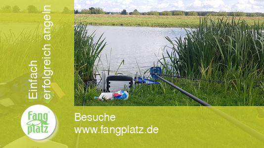 Treene: Alte Liebe rostet nicht