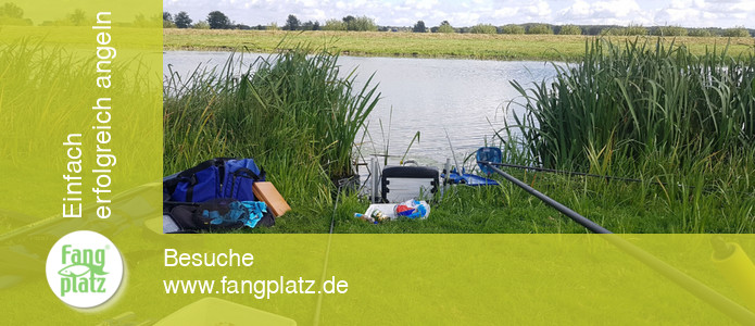 Angeln Angeln