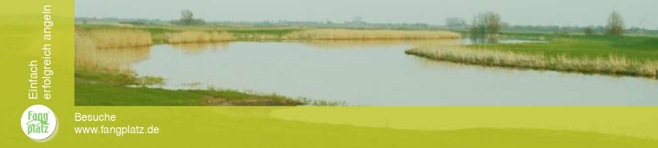 Die Treene: Angeln in Nordfriesland.