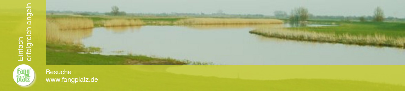 Die Treene: Angeln in Nordfriesland.