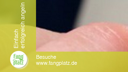 Trigger X Bait Former