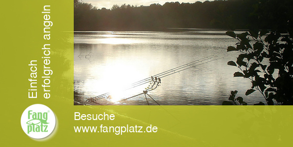 Die richtige Rutenablage Teil 1