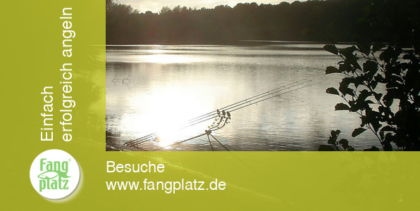 Die richtige Rutenablage Teil 1 Die richtige Rutenablage Teil 1