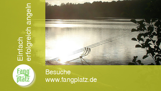 Die richtige Rutenablage Teil 1