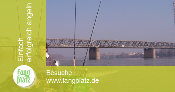 Wallerangeln - Po in Italien &ndash; Erlebnisbericht (2/ 2)