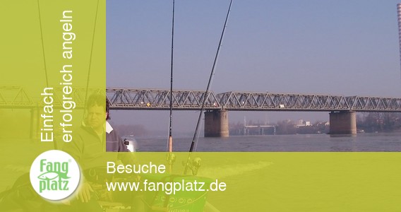 Wallerangeln - Po in Italien &ndash; Erlebnisbericht (2/ 2)