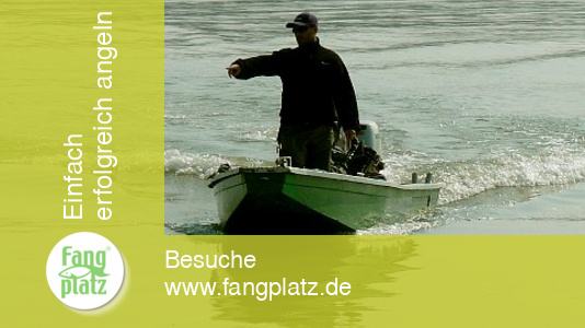 Wallerangeln - Po in Italien &ndash; Erlebnisbericht (2/ 2)