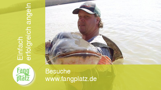 Wallerangeln - Po - Italien &ndash; Erlebnisbericht (1/ 2) | Fangplatz.de