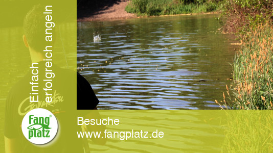 Tipps: Richtig Auswerfen