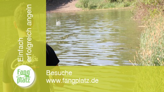 Tipps: Richtig Auswerfen Tipps: Richtig Auswerfen