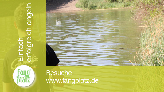 Tipps: Richtig Auswerfen Tipps: Richtig Auswerfen