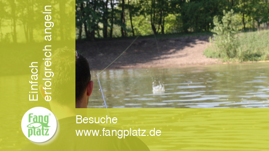 Tipps: Richtig Auswerfen